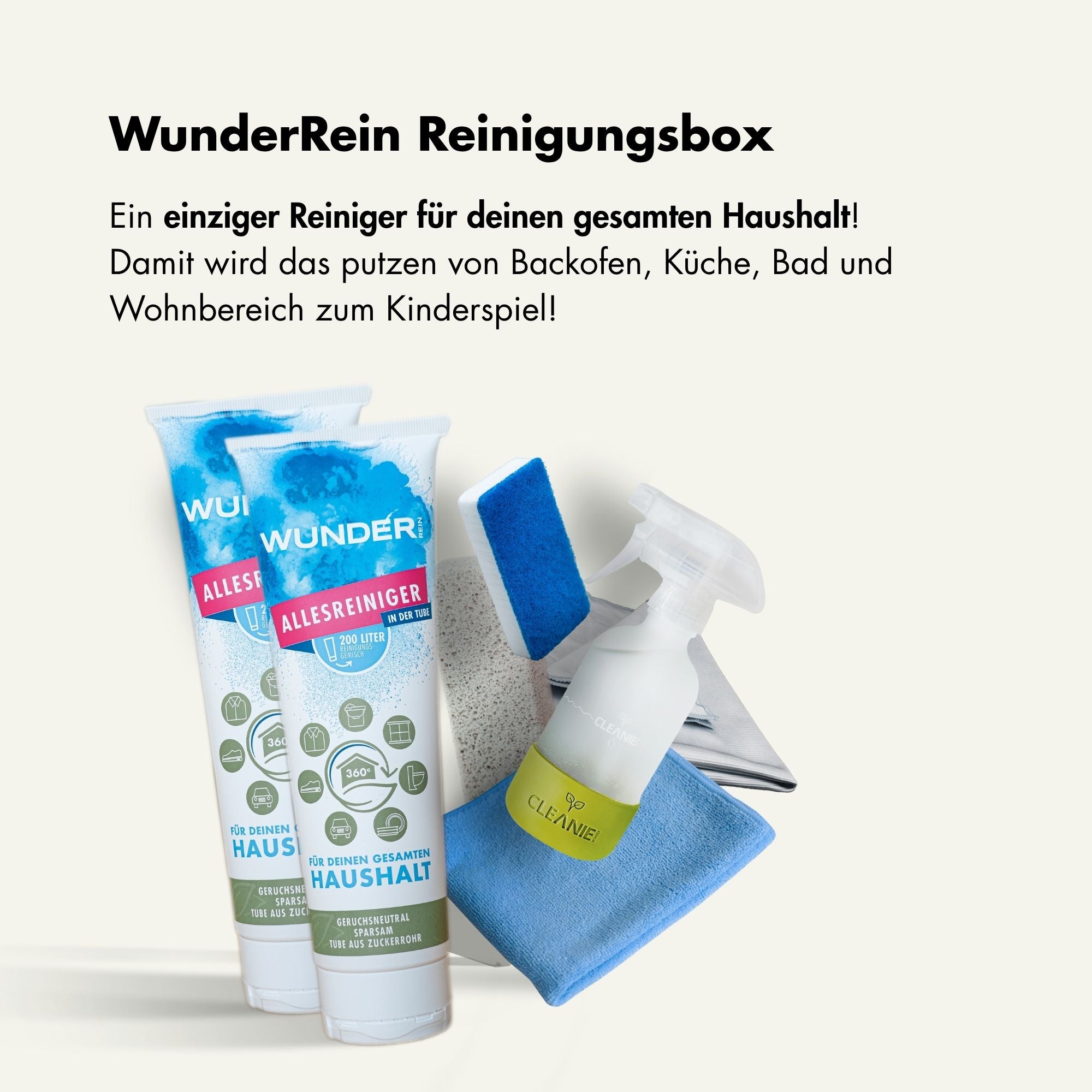 BLACK November Sparbox